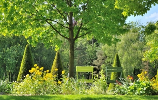 entretien création espaces verts jardins plantation Aidlib multiservices 94