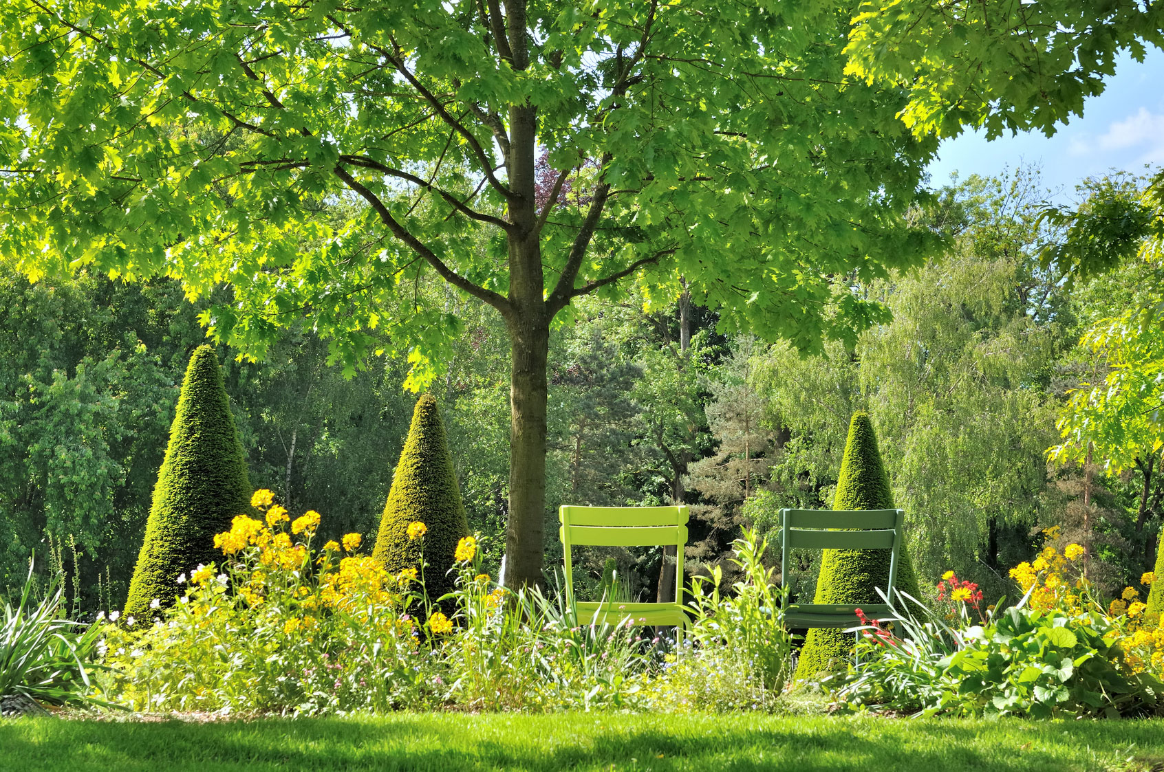 plantation création jardins espaces verts aidlib multiservices