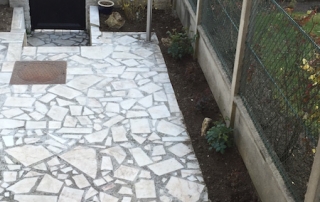 plantation rosiers buissons