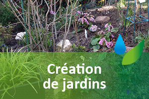 entretien-creation-de-jardins-plantations