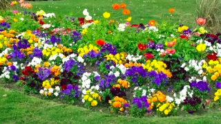 jardinier