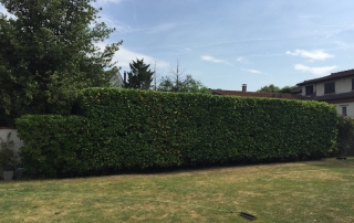 jardinier
