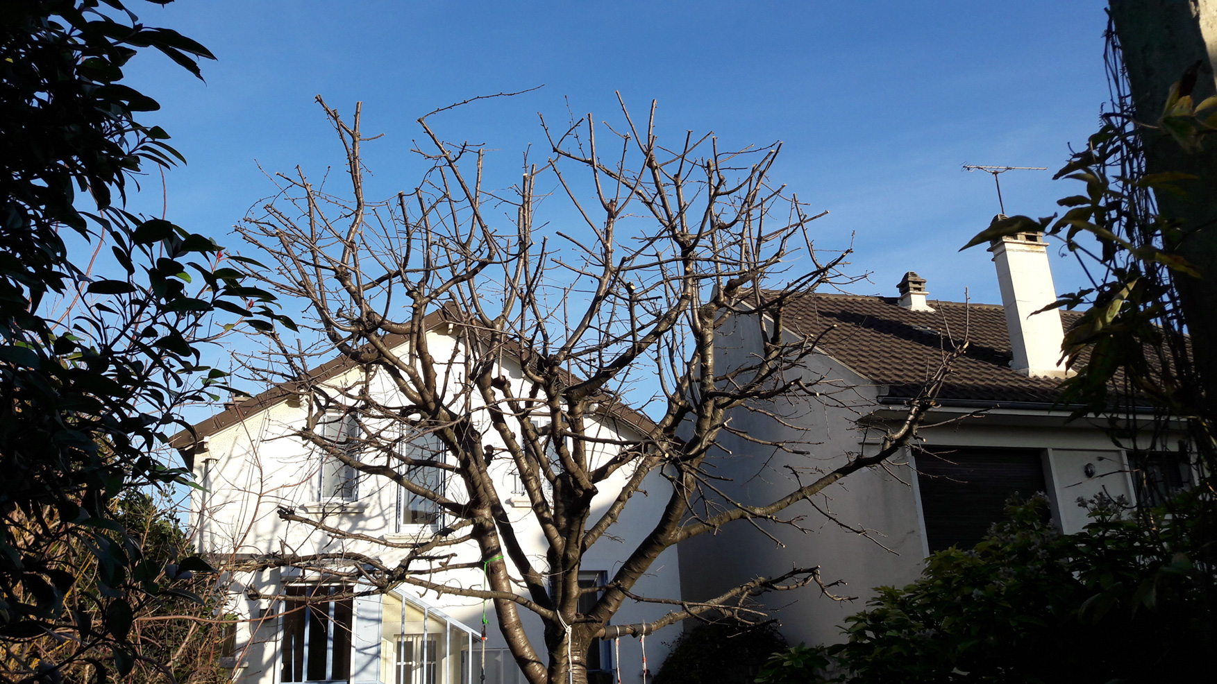 jardins entretien espaces verts aidlib