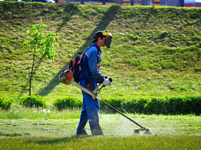 Services de jardinage, débroussaillage, jardinier et entretien