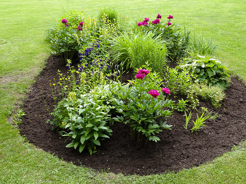 jardinier-plantation-massif