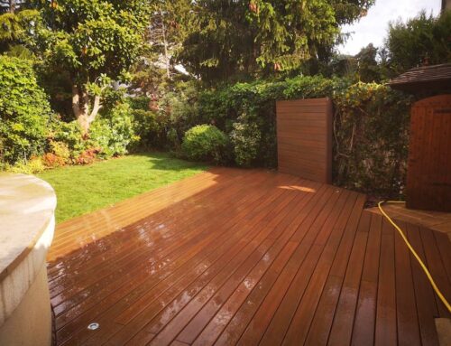 Aménagement terrasse et jardin à Saint-Maur-des-Fossés